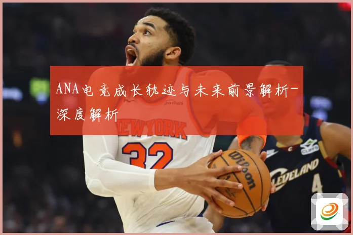 ANA电竞成长轨迹与未来前景解析-深度解析