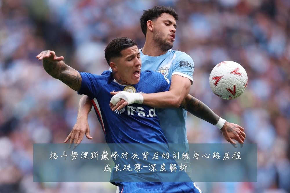 格斗努涅斯巅峰对决背后的训练与心路历程成长观察-深度解析