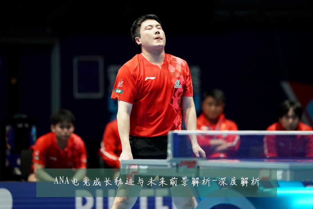 ANA电竞成长轨迹与未来前景解析-深度解析