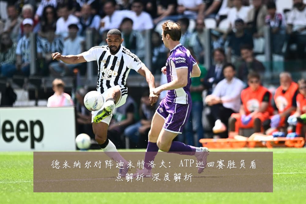德米纳尔对阵迪米特洛夫:ATP巡回赛胜负看点解析-深度解析